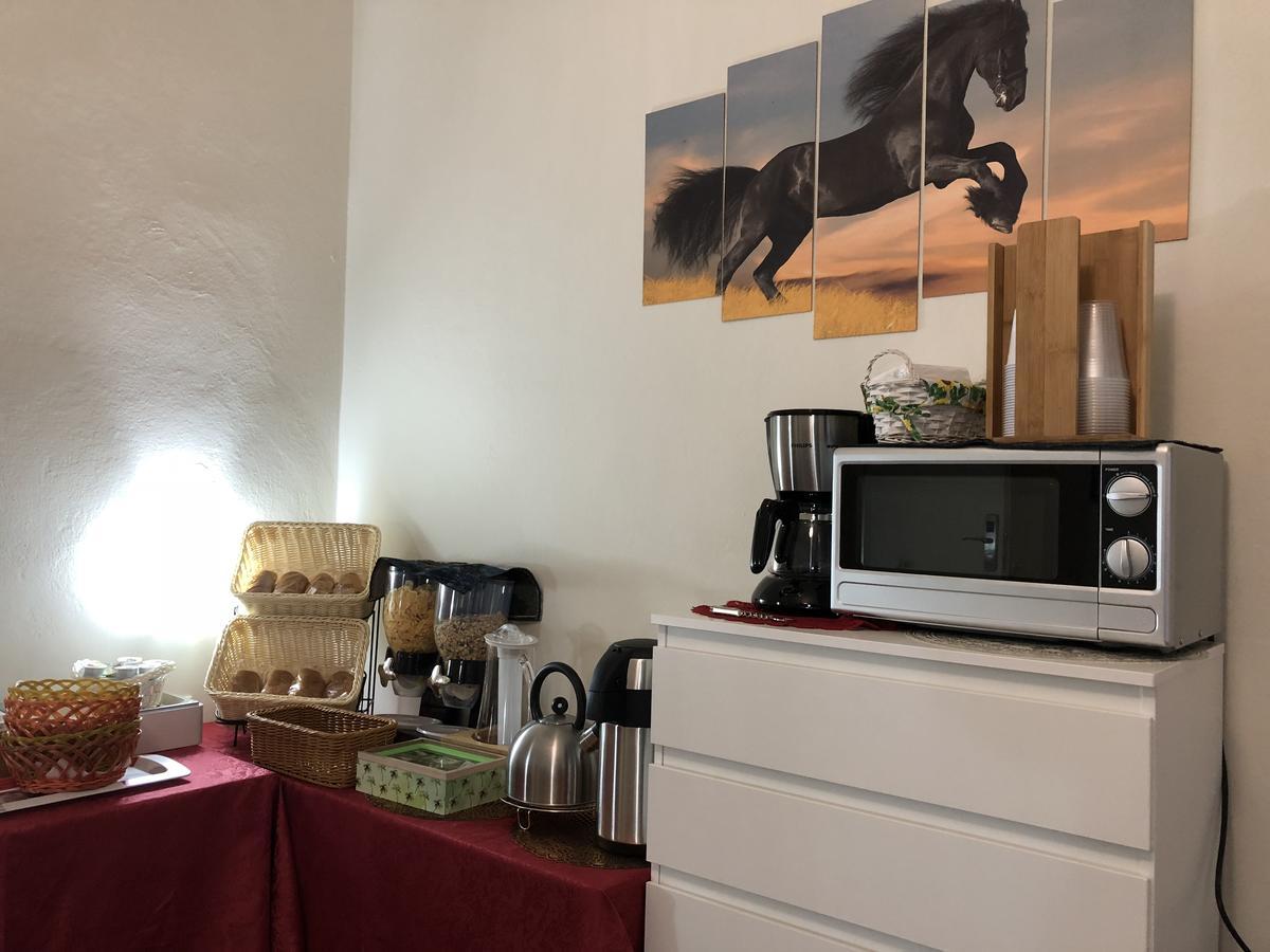 Aliante Turist House Acomodação com café da manhã Pisa Exterior foto
